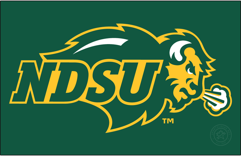 North Dakota State Bison 2012-Pres Primary Dark Logo diy iron on heat transfer
